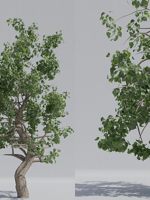 Luxcore Tropical Trees and Vegetation pack