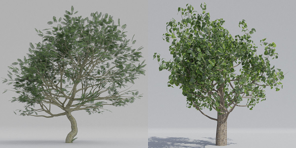 Luxcore Tropical Trees and Vegetation pack