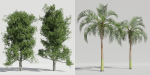 Luxcore Tropical Trees and Vegetation pack