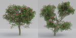 Luxcore Tropical Trees and Vegetation pack
