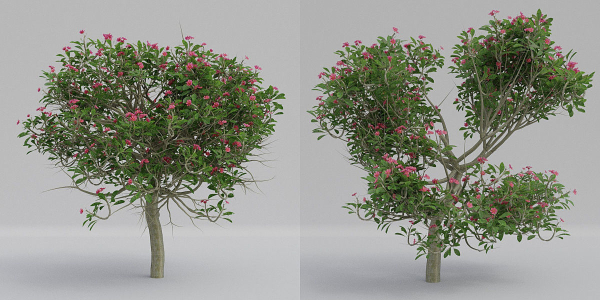 Luxcore Tropical Trees and Vegetation pack