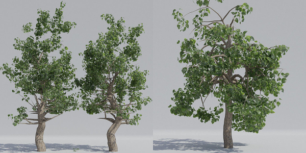 Luxcore Tropical Trees and Vegetation pack