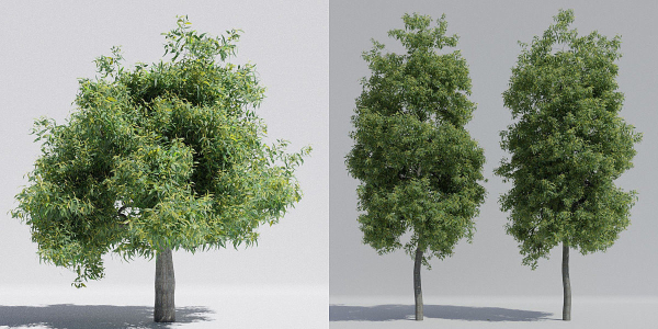 Luxcore Tropical Trees and Vegetation pack