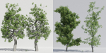 Luxcore Tropical Trees and Vegetation pack