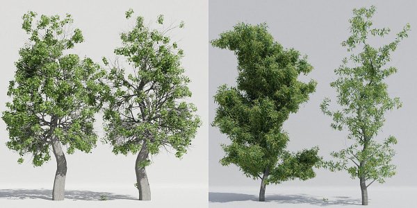 Luxcore Tropical Trees and Vegetation pack