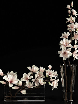 Magnolia 2 two vases