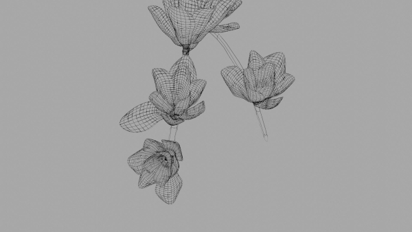 Magnolia 3D Model Low Poly