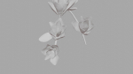 Magnolia 3D Model Low Poly