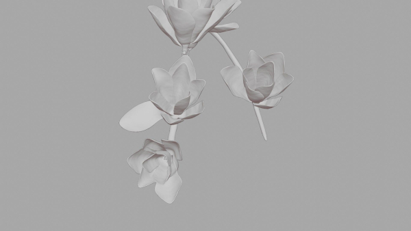Magnolia 3D Model Low Poly