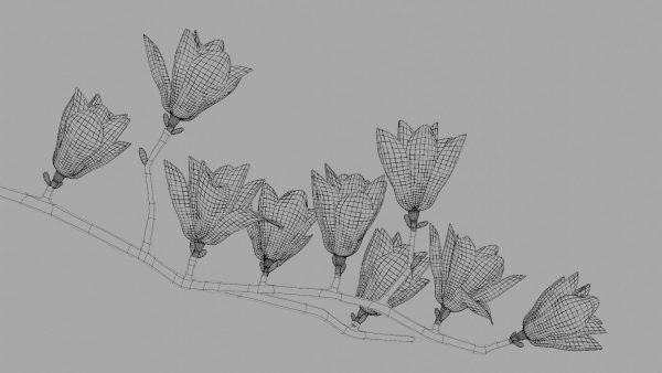 Magnolia 3D Model Low Poly