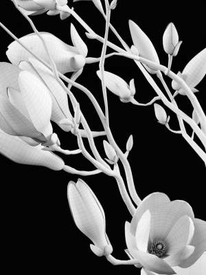 magnolia-3d-model-max-obj-mtl