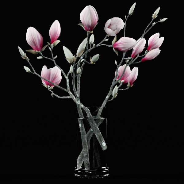 Magnolia flowers in vase
