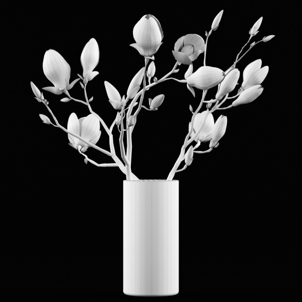 Magnolia flowers in vase