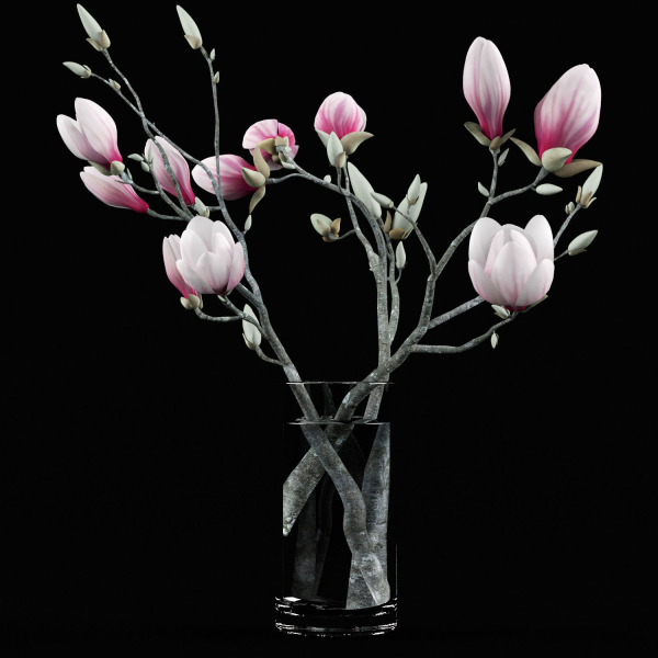 Magnolia flowers in vase