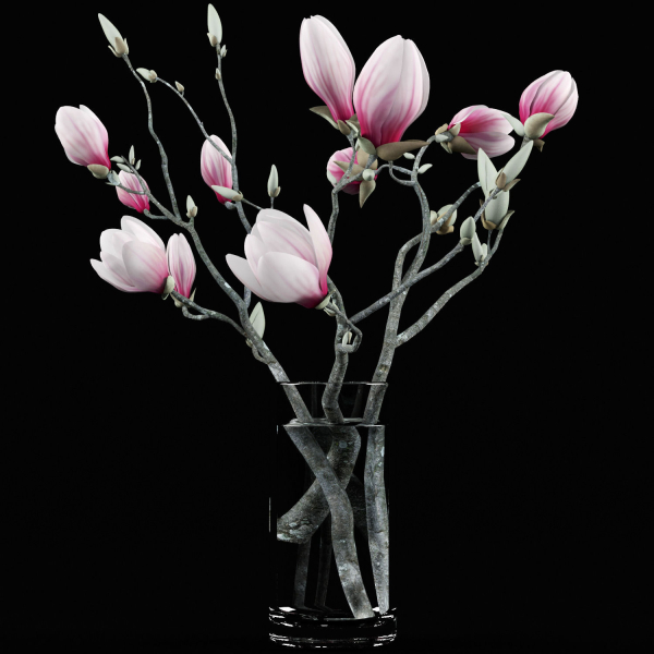 Magnolia flowers in vase