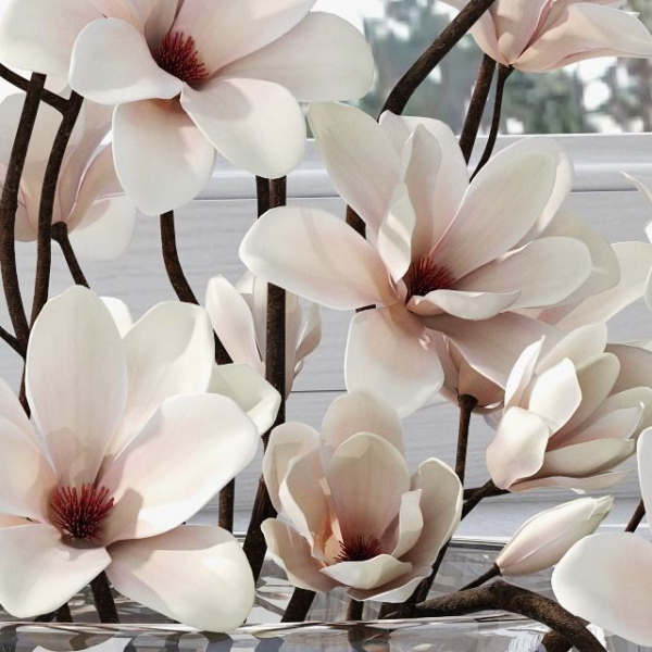 Magnolia arrangement
