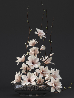 Magnolia arrangement