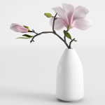 Magnolia in a vase