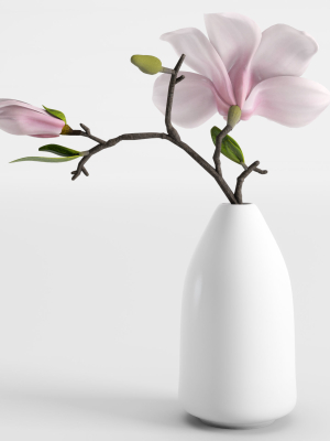 magnolia-in-a-vase-3d-model-max-obj-fbx