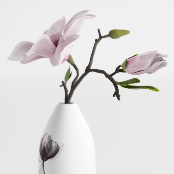 Magnolia in a vase