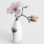 Magnolia in a vase