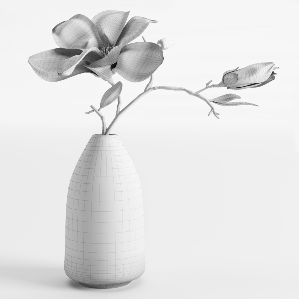 Magnolia in a vase