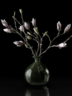 magnolia-in-vase-3d-model-max-obj-fbx-mat