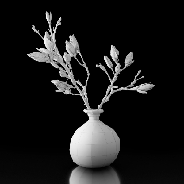 Magnolia in vase