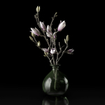 Magnolia in vase