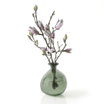 Magnolia in vase