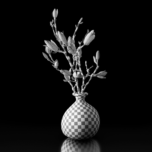 Magnolia in vase