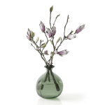 Magnolia in vase
