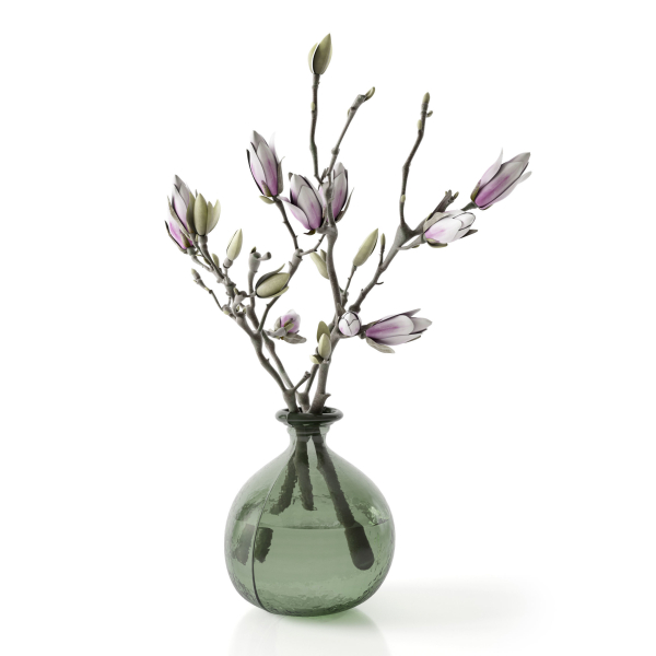 Magnolia in vase