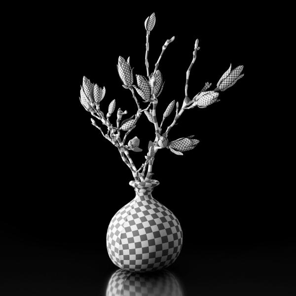 Magnolia in vase