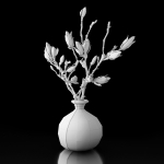 Magnolia in vase