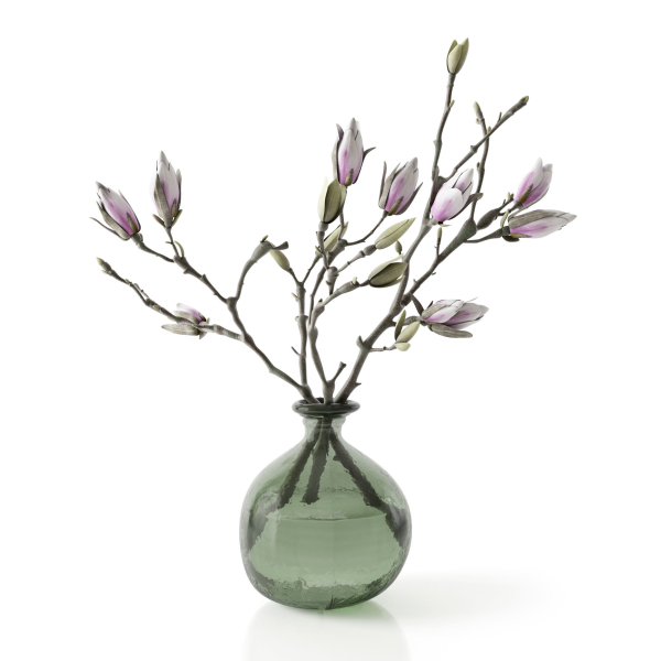 Magnolia in vase