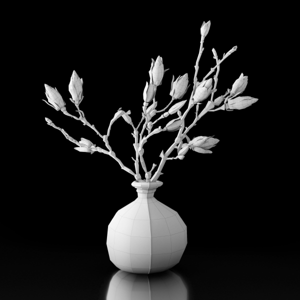 Magnolia in vase