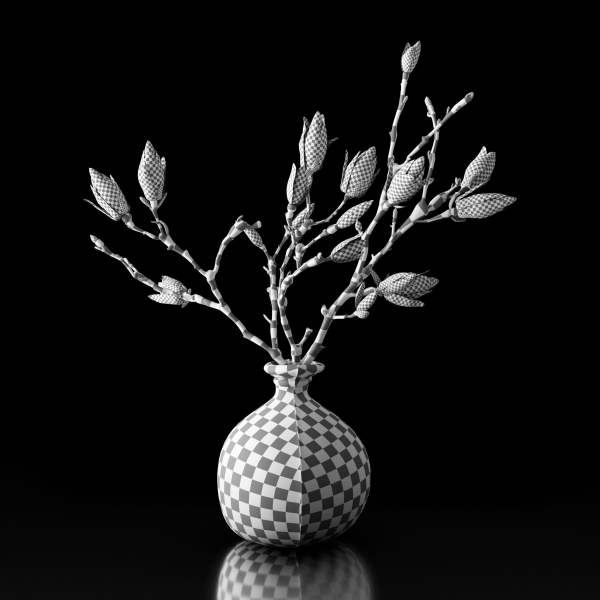 Magnolia in vase