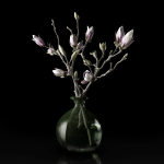 Magnolia in vase