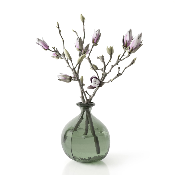 Magnolia in vase