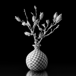 Magnolia in vase