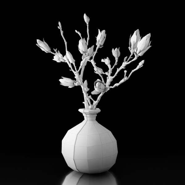 Magnolia in vase