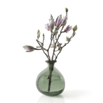 Magnolia in vase