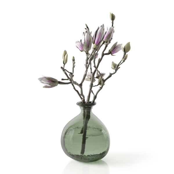 Magnolia in vase
