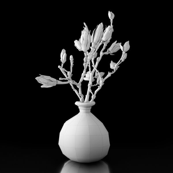 Magnolia in vase
