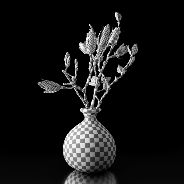Magnolia in vase