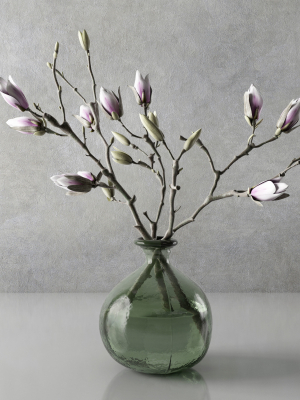 Magnolia in vase