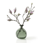 Magnolia in vase