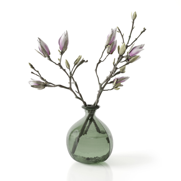Magnolia in vase