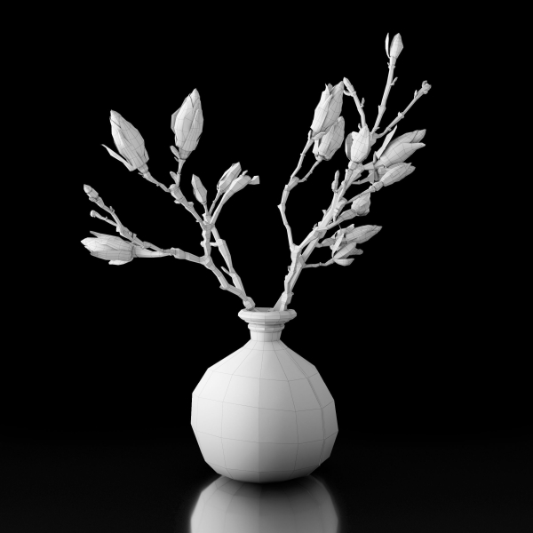 Magnolia in vase